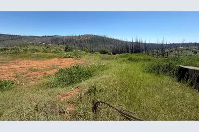 10340 Grizzly Flat Road, Grizzly Flats, CA 95636 - Photo 1