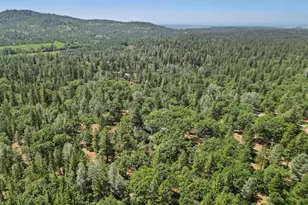 10707 Hufford Ranch Rd, Whitmore, CA 96096 - Photo 3