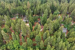 6775 Ridgeway Dr, Pollock Pines, CA 95726 - Photo 45