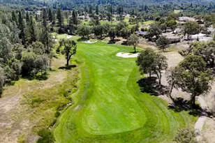 13056 Austin Forest Cir, Auburn, CA 95602 - Photo 47