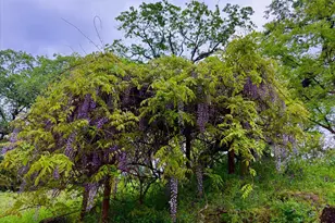 20111 Tanglewood Rd, Grass Valley, CA 95945 - Photo 61