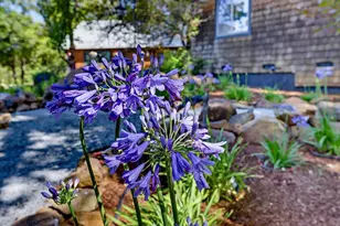 20111 Tanglewood Rd, Grass Valley, CA 95945 - Photo 83