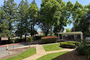 7131 Stella Ln, Carmichael, CA 95608 - Photo 43