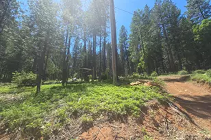 12181 Robust Way, Nevada City, CA 95959 - Photo 1