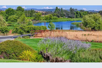 1416 Lakeside Drive, Angels Camp, CA 95222 - Photo 9
