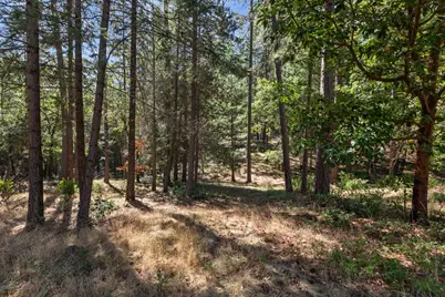 22090 Alton Trail, Foresthill, CA 95631 - Photo 5
