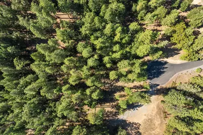22090 Alton Trail, Foresthill, CA 95631 - Photo 3