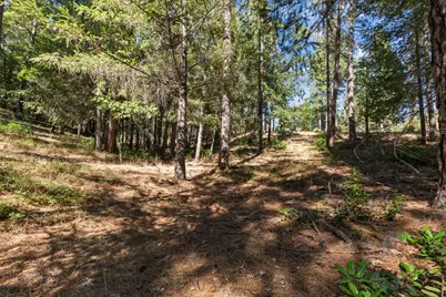 22090 Alton Trail, Foresthill, CA 95631 - Photo 7