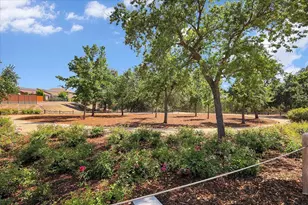 3001 Demartini Dr, Roseville, CA 95661 - Photo 47