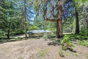 10650 Pine Hill Dr, Grass Valley, CA 95945 - Photo 33
