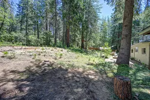 10650 Pine Hill Dr, Grass Valley, CA 95945 - Photo 31