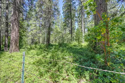 10650 Pine Hill Drive, Grass Valley, CA 95945 - Photo 35