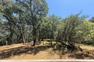 9160 Madison Ave, Fair Oaks, CA 95628 - Photo 27