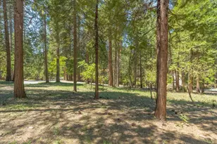 1621 Rawhide Dr, Arnold, CA 95223 - Photo 1
