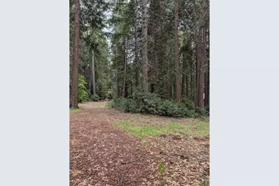 17943 Cruzon Grade Rd, Nevada City, CA 95959 - Photo 13
