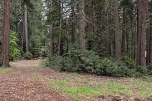 17943 Cruzon Grade Rd, Nevada City, CA 95959 - Photo 13