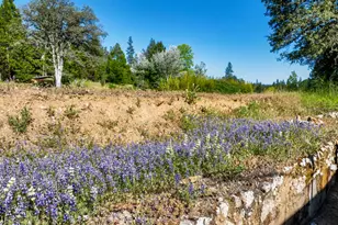 13351 Newtown Rd, Nevada City, CA 95959 - Photo 27