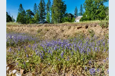 13351 Newtown Road, Nevada City, CA 95959 - Photo 25