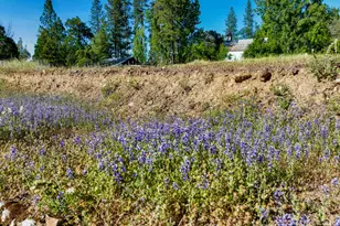 13351 Newtown Rd, Nevada City, CA 95959 - Photo 25