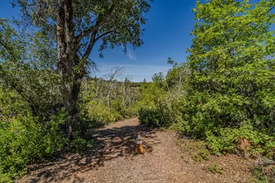 7256 Nikki, Mountain Ranch, CA 95246 - Photo 15