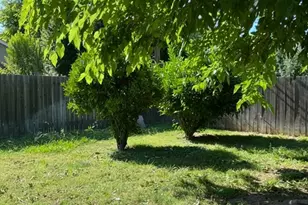 1401 Wyant Way, Sacramento, CA 95864 - Photo 13