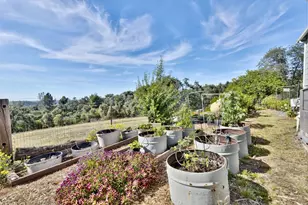 8900 Center St, Mokelumne Hill, CA 95245 - Photo 17