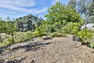 8900 Center St, Mokelumne Hill, CA 95245 - Photo 19