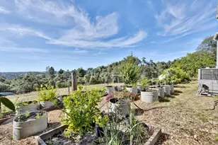 8900 Center St, Mokelumne Hill, CA 95245 - Photo 15