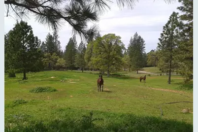 [Address not provided], Georgetown, CA 95634 - Photo 3