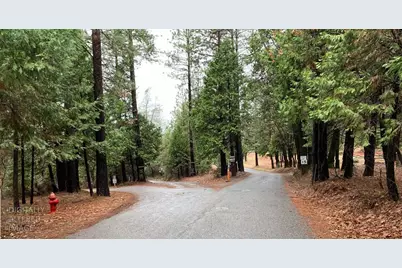 [Address not provided], Georgetown, CA 95634 - Photo 5