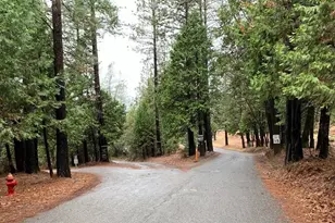 [Address not provided], Georgetown, CA 95634 - Photo 5