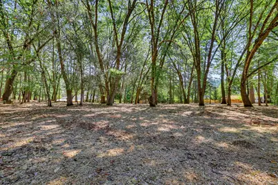 16067 Langley Place, Grass Valley, CA 95946 - Photo 49