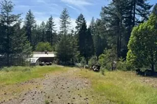 6433 Peg Leg Mine Rd, Georgetown, CA 95634 - Photo 5