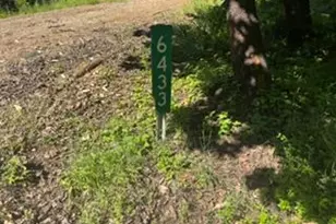 6433 Peg Leg Mine Rd, Georgetown, CA 95634 - Photo 3