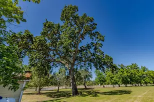 7153 Elizabeth Ct, Valley Springs, CA 95252 - Photo 43