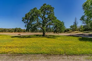 7153 Elizabeth Ct, Valley Springs, CA 95252 - Photo 55