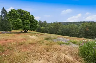 29070 Ridge View Rd, Foresthill, CA 95631 - Photo 47