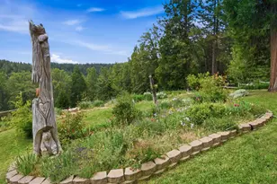 29070 Ridge View Rd, Foresthill, CA 95631 - Photo 45