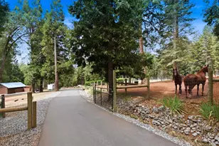 29070 Ridge View Rd, Foresthill, CA 95631 - Photo 41
