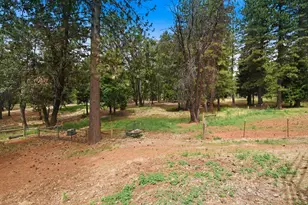 29070 Ridge View Rd, Foresthill, CA 95631 - Photo 55