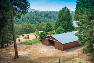 29070 Ridge View Rd, Foresthill, CA 95631 - Photo 3
