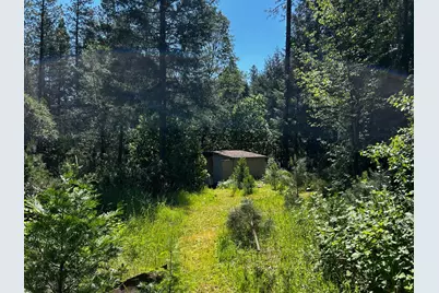 12215 Poke Place, Nevada City, CA 95959 - Photo 15
