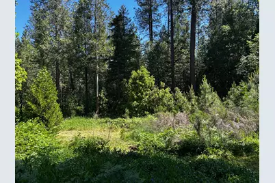12215 Poke Place, Nevada City, CA 95959 - Photo 11