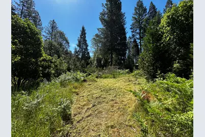 12215 Poke Place, Nevada City, CA 95959 - Photo 13