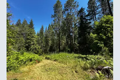 12215 Poke Place, Nevada City, CA 95959 - Photo 3