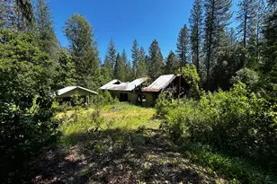 12215 Poke Pl, Nevada City, CA 95959 - Photo 1
