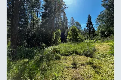 12215 Poke Place, Nevada City, CA 95959 - Photo 9