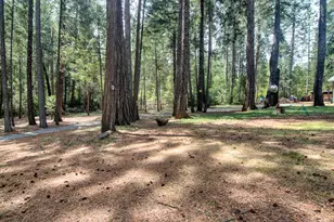 332 Coyote Ct, Georgetown, CA 95634 - Photo 73