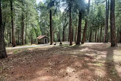 332 Coyote Ct, Georgetown, CA 95634 - Photo 67