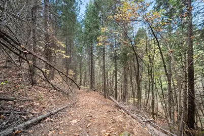 0 Starkes Grade Road, Pollock Pines, CA 95726 - Photo 11